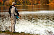 Fishing From The Bank