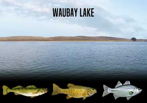 Fishing Report Waubay Lake, SD