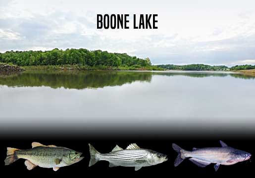 Fishing Report Boone Lake, TN