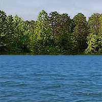 Fort Loudoun Lake Reports