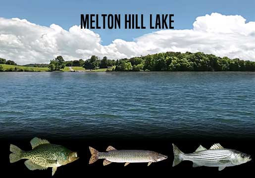 Fishing Report Melton Hill Lake, TN