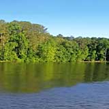 Pickwick Lake, Tennessee