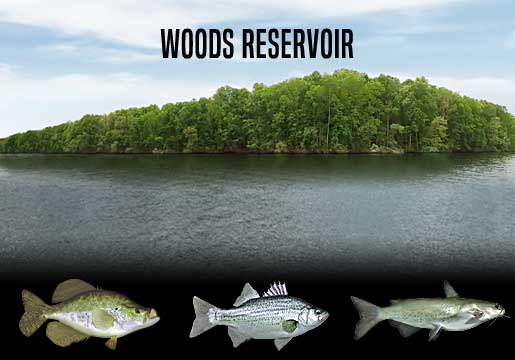 Fishing Report Woods Reservoir, TN