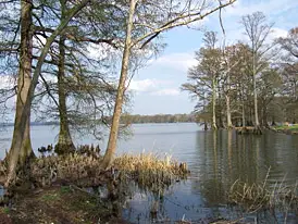 Reelfoot Lake, Tennessee - Home of big bass