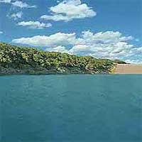 Canyon Lake Reports