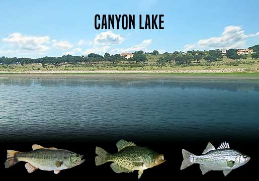 Fishing Report Canyon Lake, TX