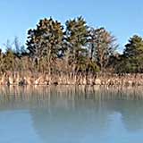Cedar Creek Reservoir, Texas