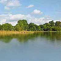 Cedar Creek Reservoir Reports