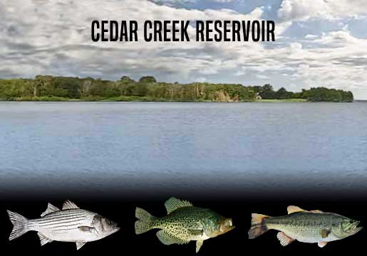 Fishing Report Cedar Creek Reservoir, TX