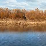 Choke Canyon Reservoir, TX