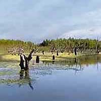 Choke Canyon Reservoir Reports