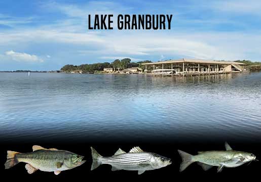 Fishing Report Lake Granbury