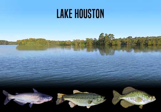 Fishing Report Lake Houston