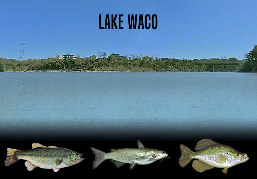 Fishing Report Lake Waco