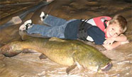 45-pound catfish