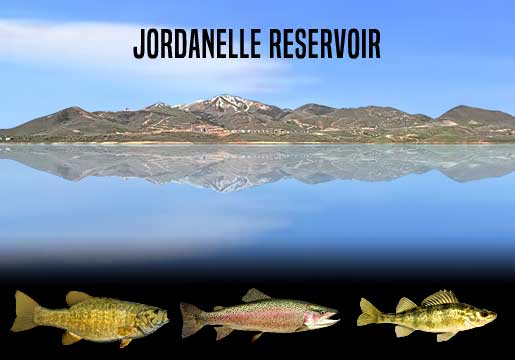 Fishing Report Jordanelle Reservoir, UT