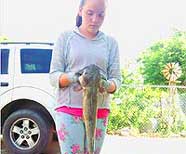 Jenniel with a Utah Catfish