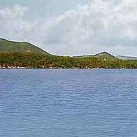 Carvins Cove Reservoir Reports
