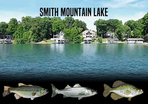 Fishing Report Smith Mountain Lake, VA