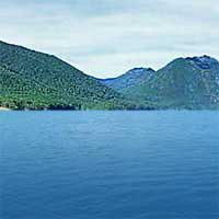 Lake Cushman Reports