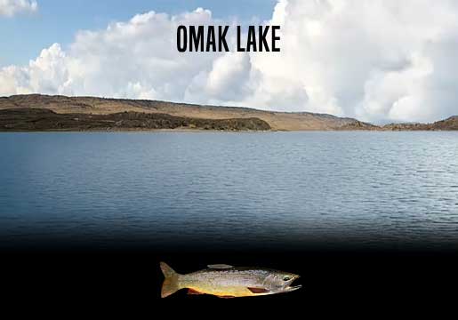 Fishing Report Omak Lake, WA