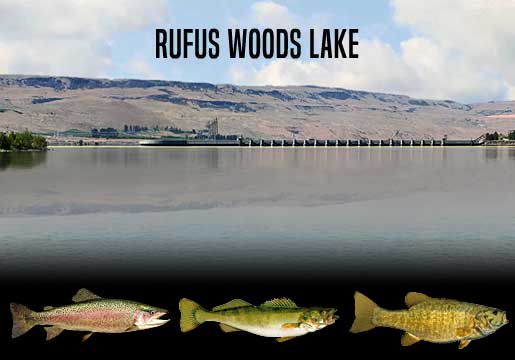 Fishing Report Rufus Woods Lake, WA