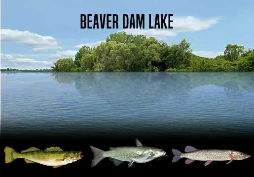 Fishing Report Beaver Dam Lake, WI