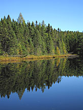 Fishing lake in northern Wisconsin