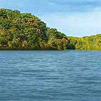 Cheat Lake Reports