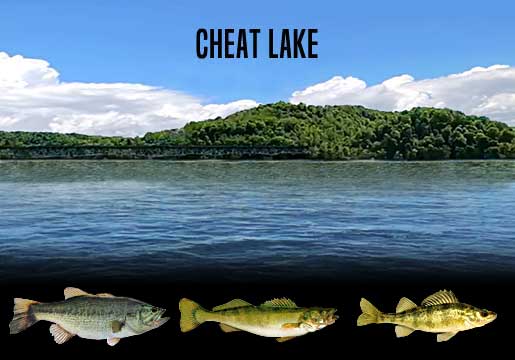 Fishing Report Cheat Lake, WV
