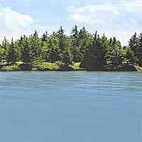 Mount Storm Lake Reports