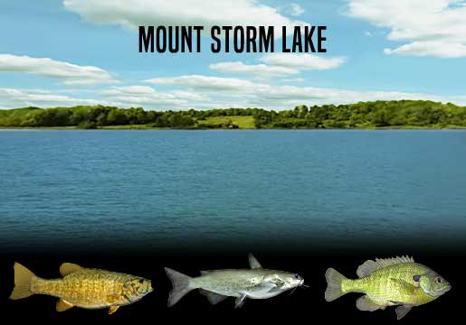 Fishing Report Mount Storm Lake, WV