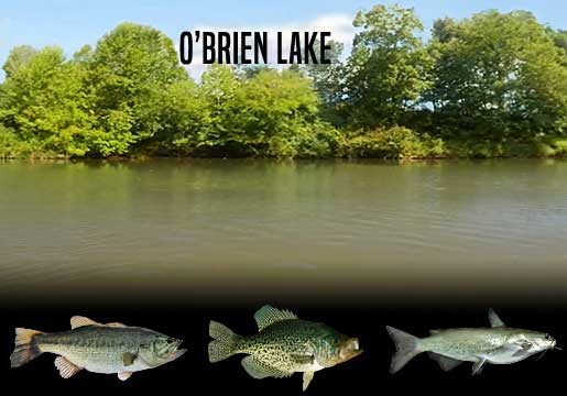 Fishing Report O’Brien Lake