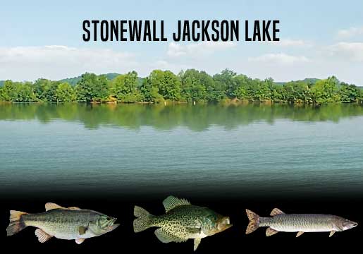 Fishing Report Stonewall Jackson Lake, WV