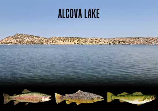 Fishing Report Alcova Lake