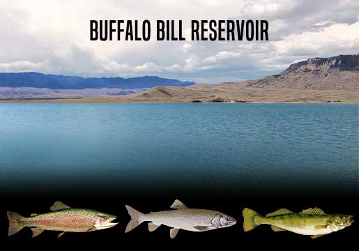Fishing Report Buffalo Bill Lake, WY