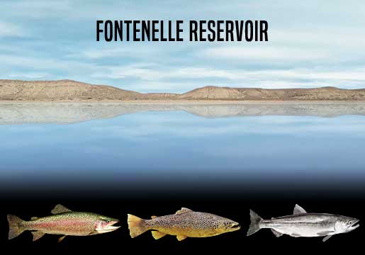Fishing Report Fontenelle Reservoir, WY