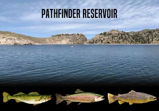 Fishing Report Pathfinder Reservoir